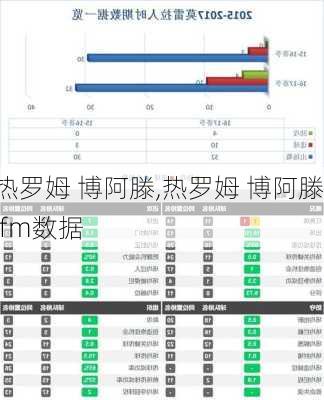 热罗姆 博阿滕,热罗姆 博阿滕 fm数据