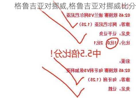 格鲁吉亚对挪威,格鲁吉亚对挪威比分