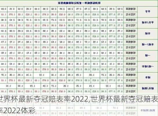 世界杯最新夺冠赔表率2022,世界杯最新夺冠赔表率2022体彩