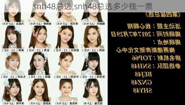 snh48总选,snh48总选多少钱一票