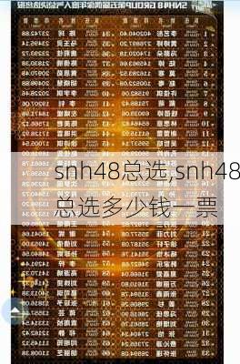 snh48总选,snh48总选多少钱一票