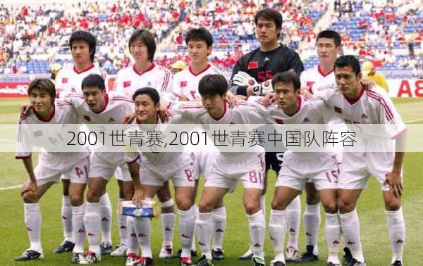 2001世青赛,2001世青赛中国队阵容