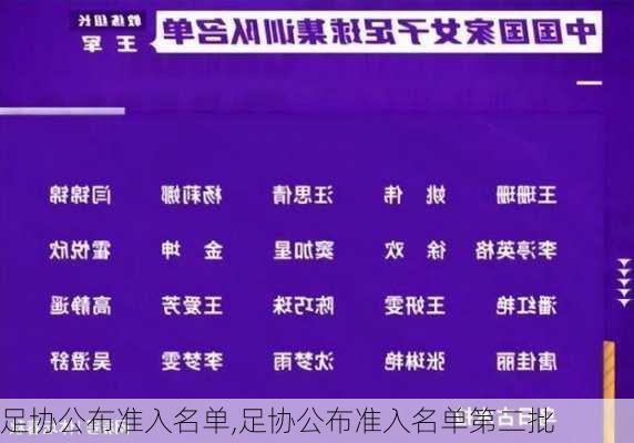 足协公布准入名单,足协公布准入名单第二批