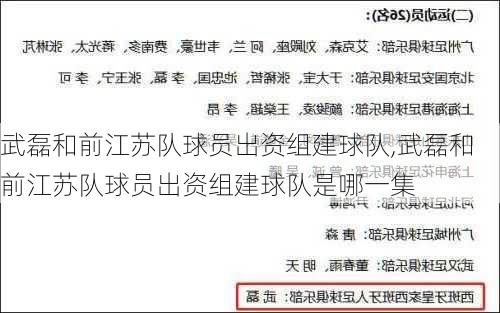 武磊和前江苏队球员出资组建球队,武磊和前江苏队球员出资组建球队是哪一集