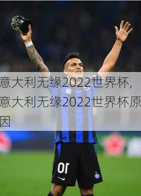 意大利无缘2022世界杯,意大利无缘2022世界杯原因