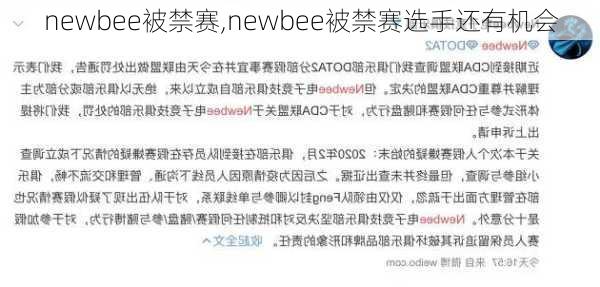 newbee被禁赛,newbee被禁赛选手还有机会