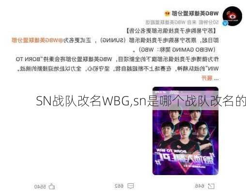 SN战队改名WBG,sn是哪个战队改名的