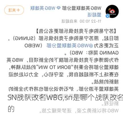 SN战队改名WBG,sn是哪个战队改名的