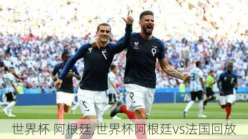 世界杯 阿根廷,世界杯阿根廷vs法国回放