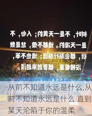 从前不知道永远是什么,从前不知道永远是什么 直到某天沦陷于你的温柔