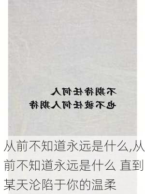 从前不知道永远是什么,从前不知道永远是什么 直到某天沦陷于你的温柔