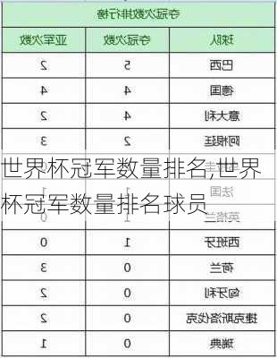 世界杯冠军数量排名,世界杯冠军数量排名球员