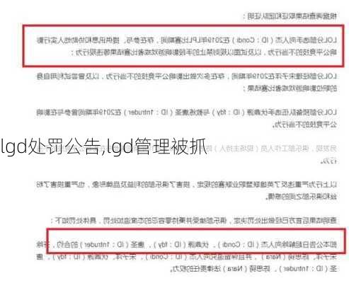 lgd处罚公告,lgd管理被抓