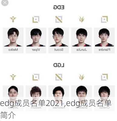 edg成员名单2021,edg成员名单简介